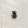 B-00012